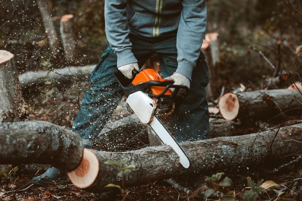 Apertura de pistas forestales en A Mariña Lucense