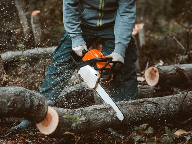 Apertura de pistas forestales en A Mariña Lucense