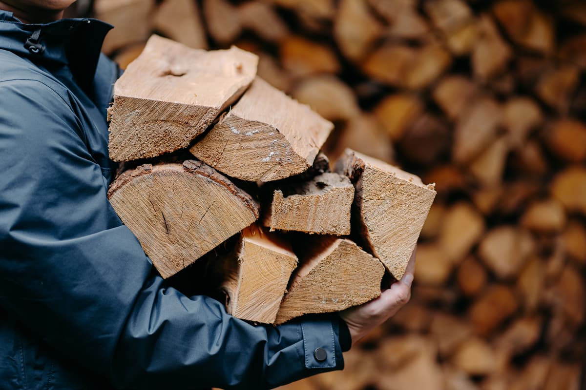 Trabajos forestales en Viveiro