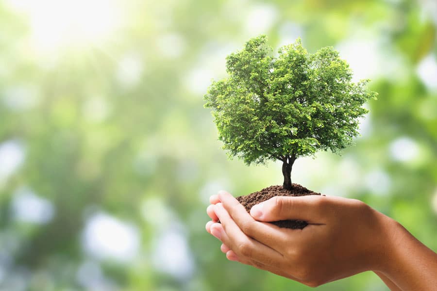 más de 25 años comprometidos con el sector forestal