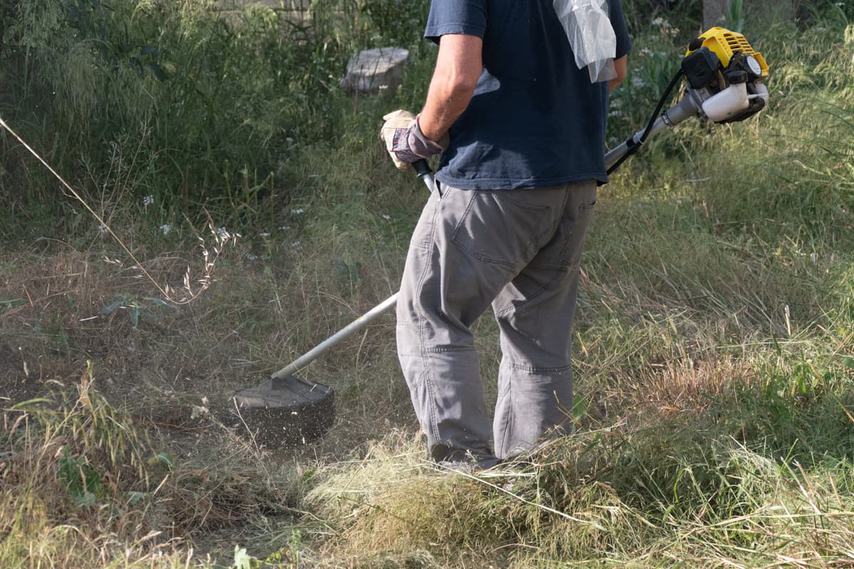 Trabajos forestales en Viveiro