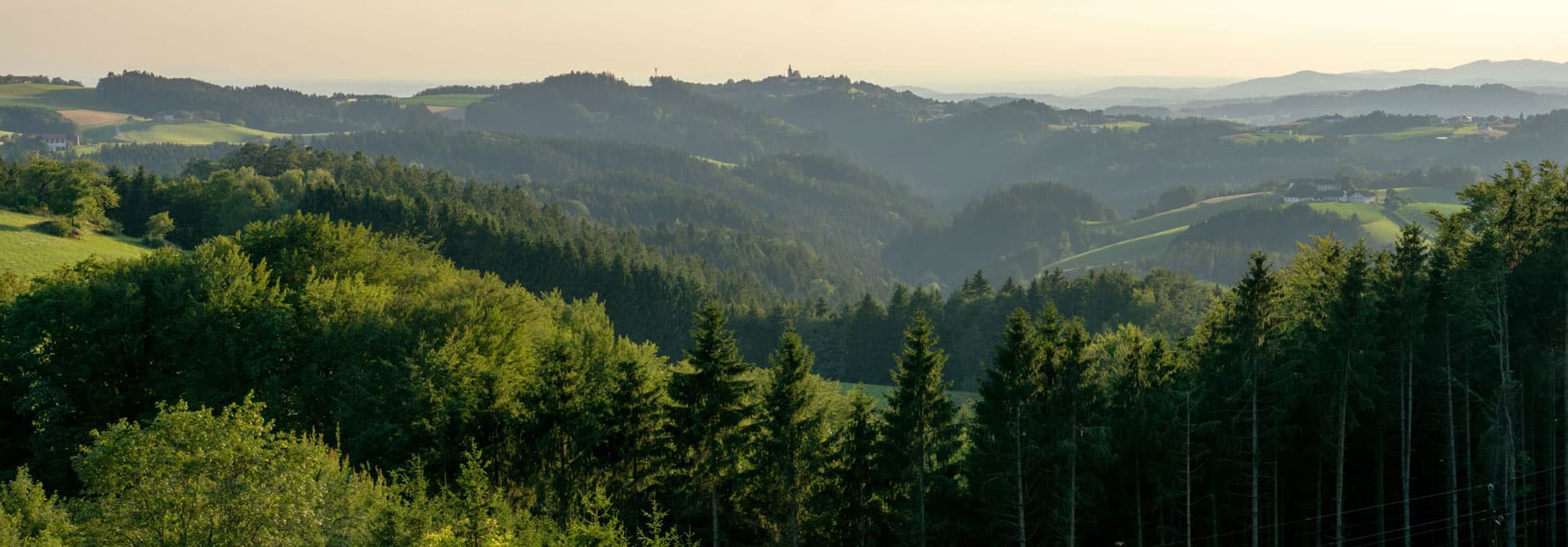 Inicie su proyecto con los expertos de Rolle Forestal