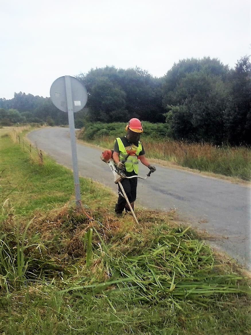 Trabajos Forestales en Viveiro