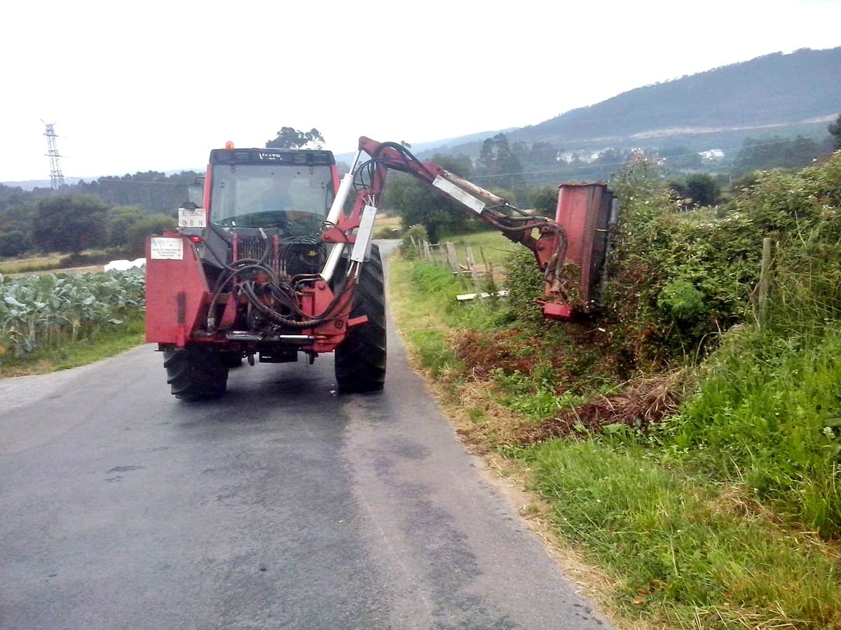 Trabajos Forestales en Viveiro