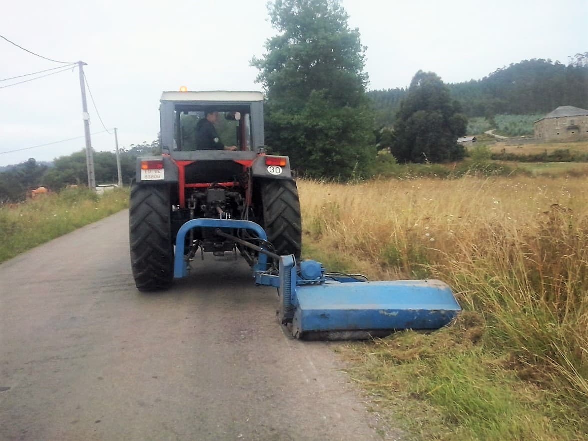 Trabajos Forestales en Viveiro