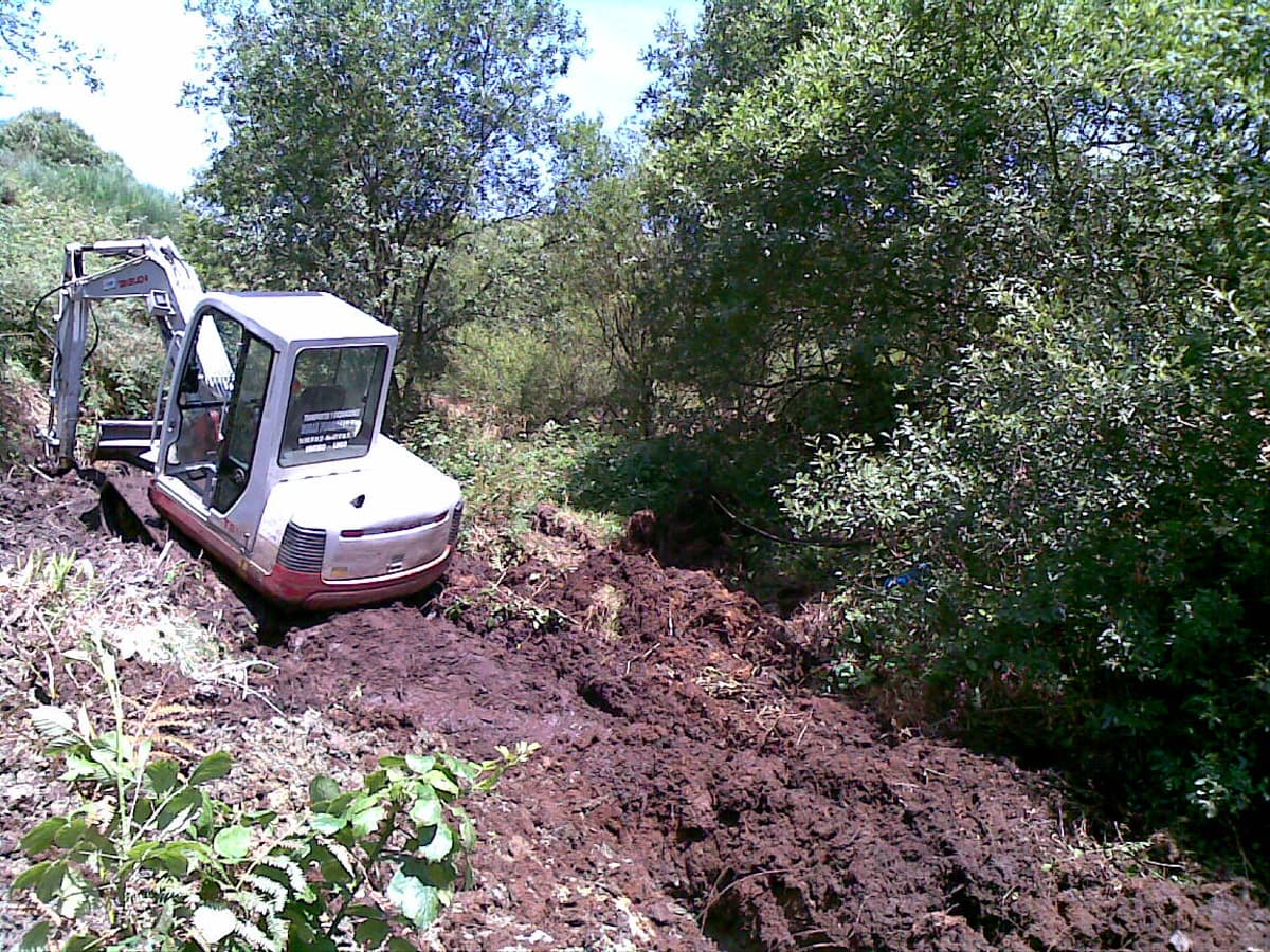 Trabajos Forestales en Viveiro