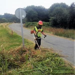 Rolle Forestal en Viveiro