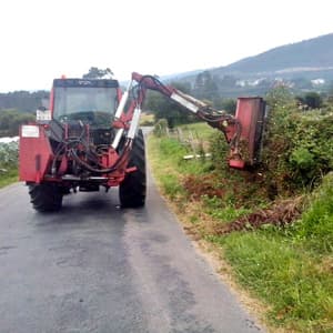 Rolle Forestal en Viveiro