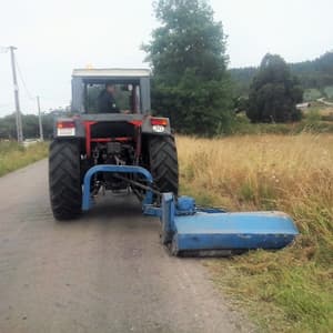 Rolle Forestal en Viveiro