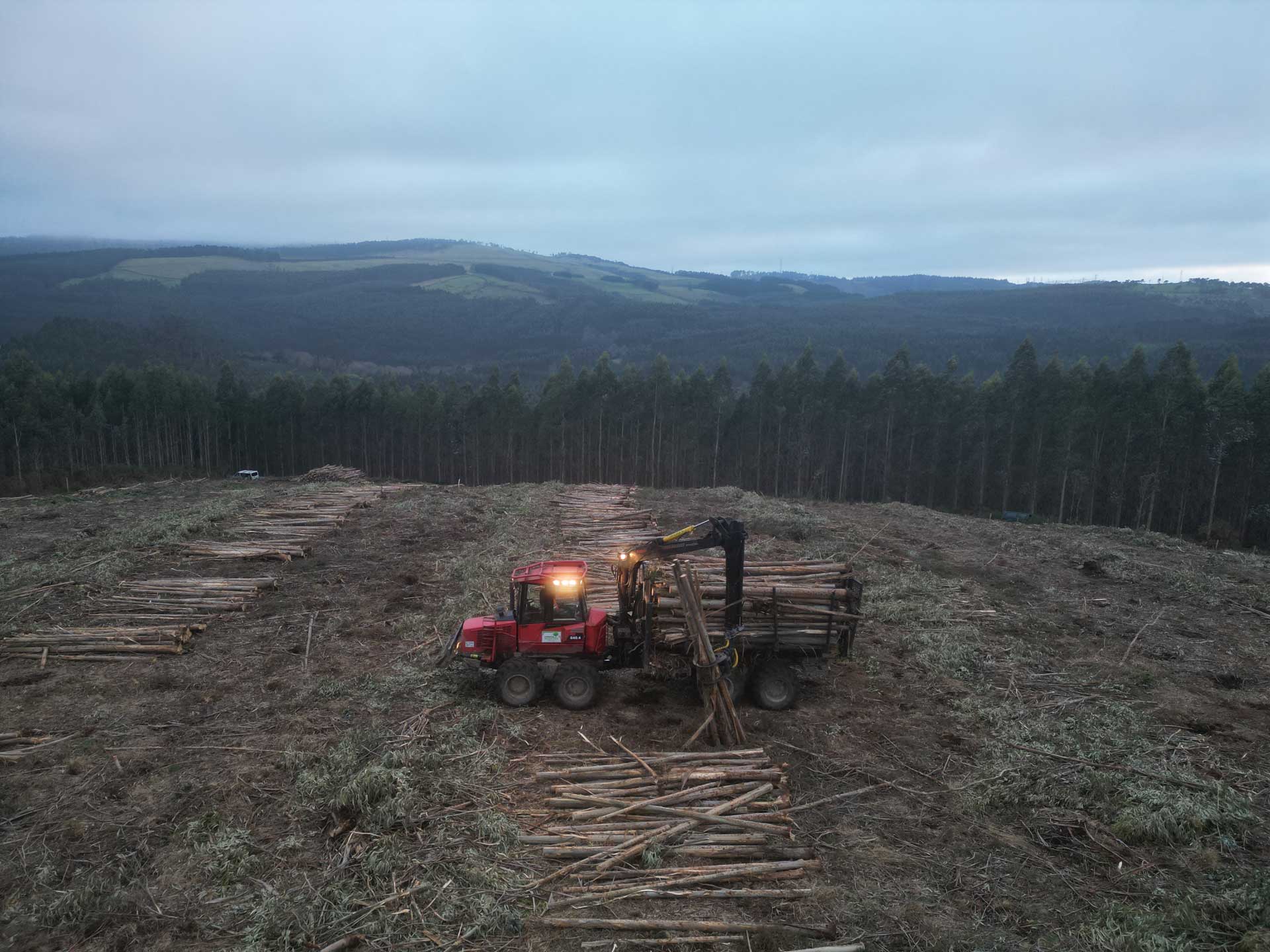 Trabajos forestales en Viveiro