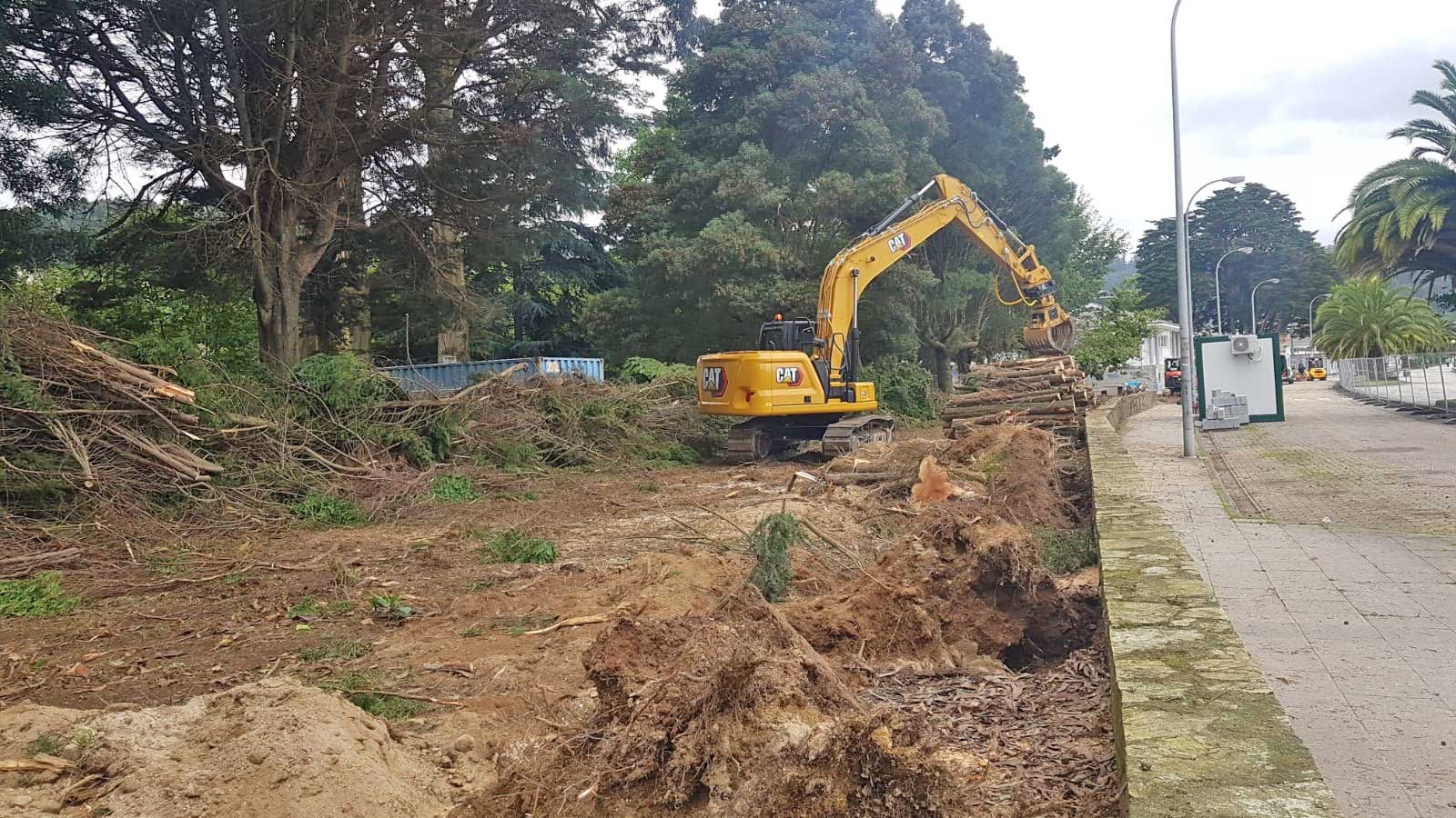 Rolle Forestal en Viveiro