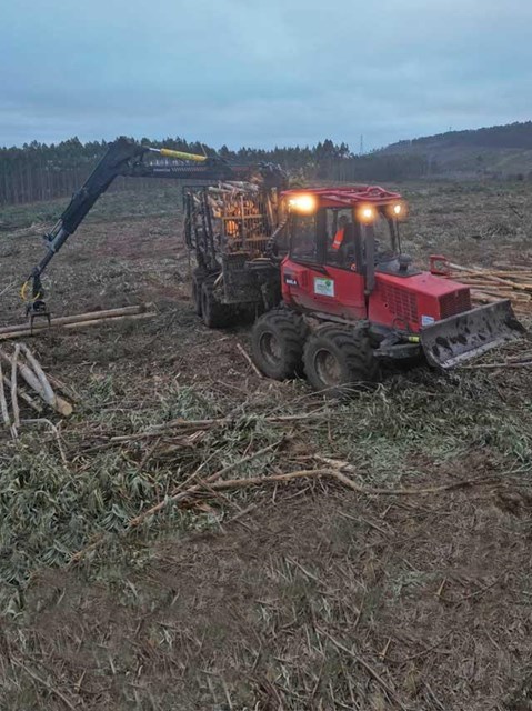 Somos su empresa de trabajos forestales en Viveiro