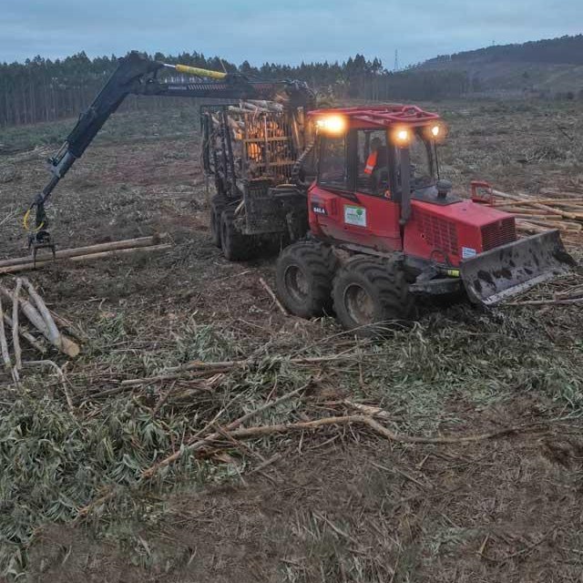 Somos su empresa de trabajos forestales en Viveiro